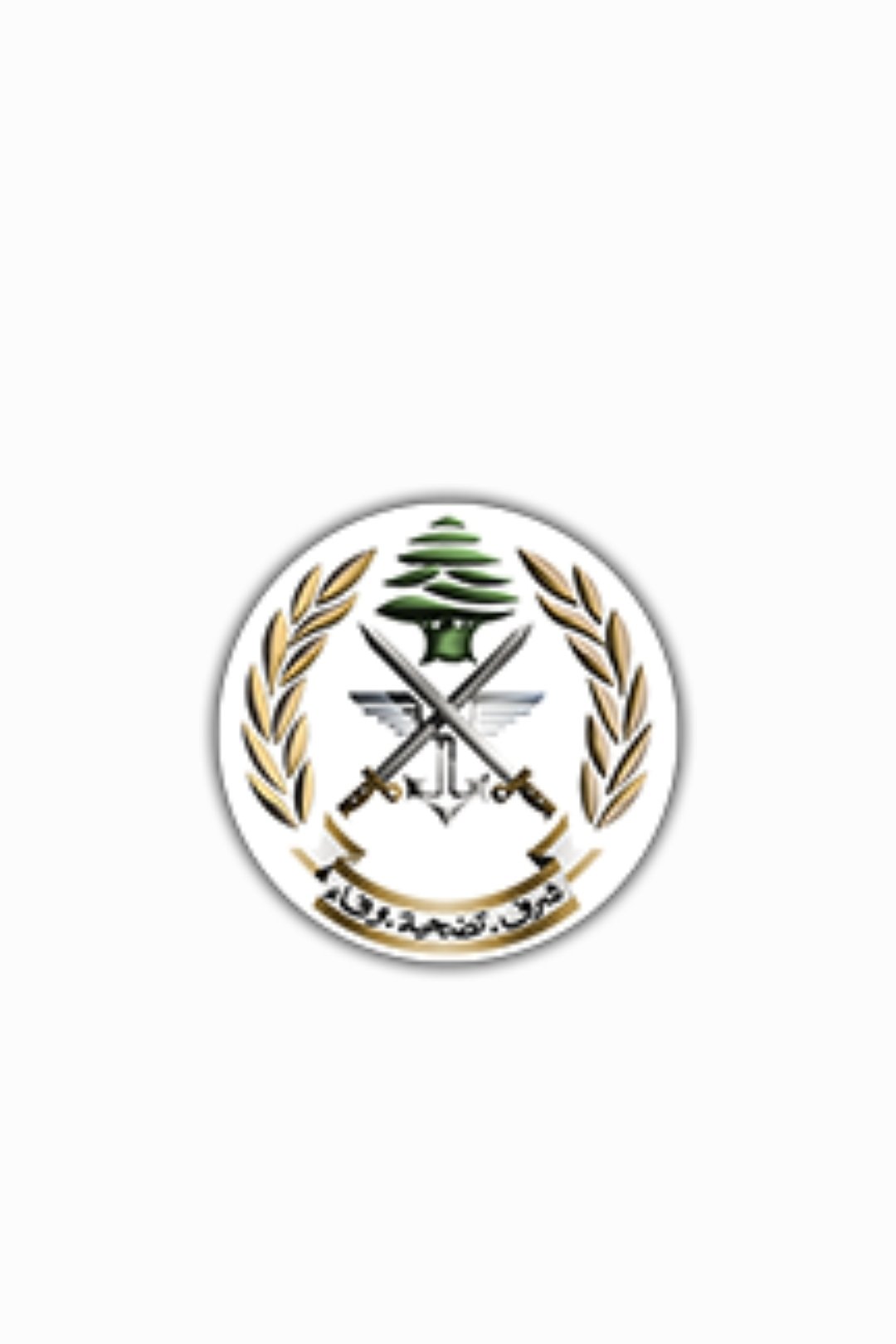 عملية نوعية للجيش في قلب مخيم شاتيلا